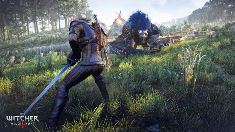 The witcher 3